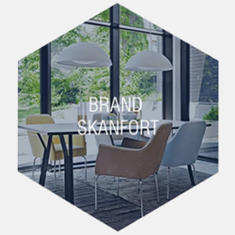 skanf_new